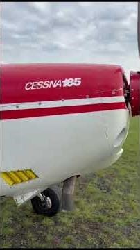 1979 CESSNA A185F For Sale