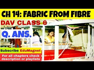 DAV CLASS 6 SCIENCE CHAPTER 14 FABRIC FROM FIBRE QUESTION ANSWER || FULL SOLUTION || EDUMAGNET