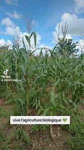 20K views · 517 reactions | Vive l'agriculture biologique  | Bio planète Bingo | Facebook