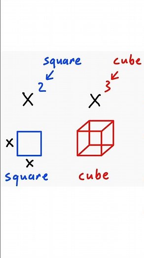 Why does x^2 and x^3 have special names?