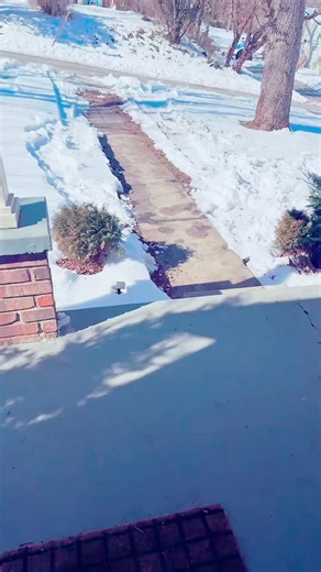 @theoldhousemarketandcompany on Instagram: "Our little shop is finally open! Sidewalks are clear, shop is a mess and that means take 30% off today and tomorrow! All items included! Friday and Saturday 10-2pm"