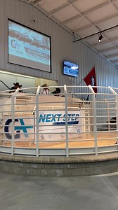 The CRC Bull sale starts now! If you aren’t at the ranch you can always join us online at: https://www.dvauction.com/register | Geneplus - Brangus and Ultrablack Cattle