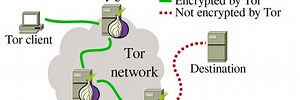 Scientists detect “spoiled onions” trying to sabotage Tor privacy network