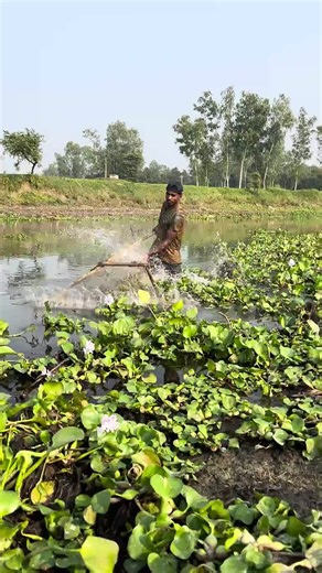 Unlocking Your Fish Master Account: Tips and Tricks