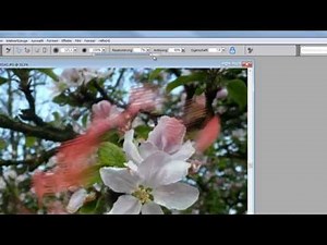 Corel Painter, Bild klonen,