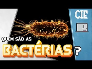 What are bacteria? [FUN] - 3rd grade elementary science