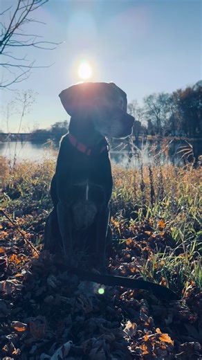 The world teaches us to measure a man by what he earns, what he owns, or how quickly he fixes a problem. But I’ve learned to measure a man by something else entirely: his capacity to stay kind when he’s tired, afraid, overwhelmed, or misunderstood. Anyone can be gentle when life is smooth. Anyone can smile when everything feels safe. But a man reveals his true heart in the moments he could harm… and doesn’t. When he could shame… and chooses grace. When he could numb… and chooses presence. When h