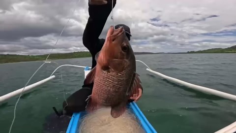 Our Biggest Catch Yet! Massive Groupers at a New Fishing Spot!