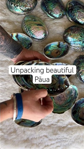 Unpacking New Pāua Shells 🐚 Nature Isn’t Perfect… But It’s Beautiful ✨