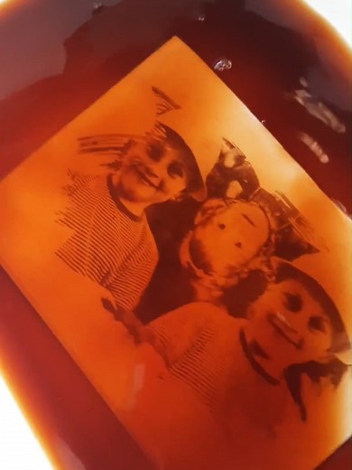 Cianotipo: Virado con Tanino de Corteza de Árbol