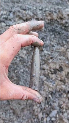 Finding the Belemnite Squid Creature guard in a muddy cliff fall needle haystack! 🌊🦑🪡 #fossilhunting
