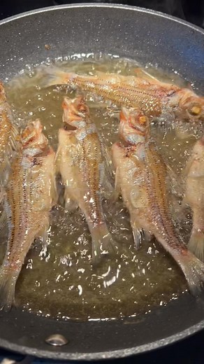 1.7K views · 41 reactions | Cooking fried crappie | Jennifer Beams | Facebook