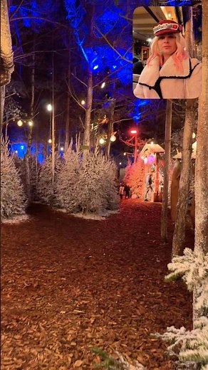Walking Through a Magical Christmas Forest ✨🎄