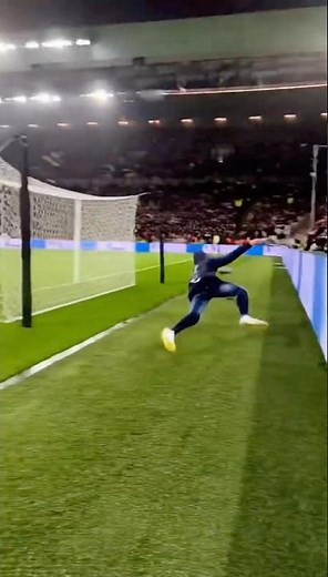 “Fan SLAMS into the boards during Germany vs Austria”#shorts #viral #germany#pitchinvader