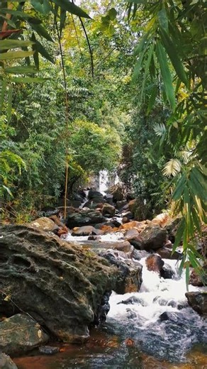 Hidden Forest Waterfall 🌿 Relaxing Nature Escape
