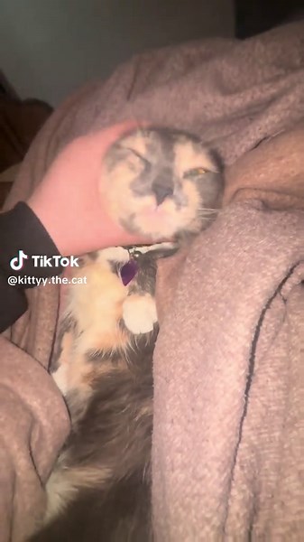 Give me that pc Mitch😡💻 | pc