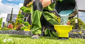 Should I Apply a Fertiliser to My Lawn this Spring?