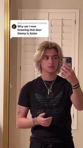 Danny TikTok: Exploring Danny Phantom Ethnicity and Korean Connections