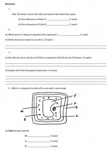 Grade 8 Integrated Science Paper 2 End of Term 2 2026 Exam with Marking Scheme