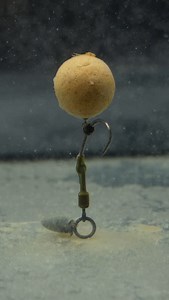 740 reactions · 14 shares | Liquid Edges Our liquid activators have proven to be a massive favourite and giving you a big edge in drawing fish onto your spots in to search for food. Feeding triggers simply don’t get any better  #nutrabaits #carpfishing #nutraofficial #onlythebest #carp #bigcarp #madeinbritain #fishing #ukcarping #angling #activator | Nutrabaits | Facebook