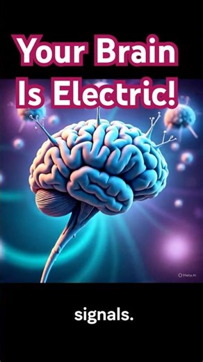 Your Brain Is Electric!! #DidYouKnow#HumanBody#ScienceFacts#InterestingFacts#Shorts