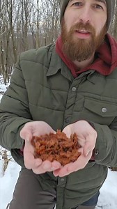 Dehydrating chili for backpacking and camping 🏕 #dehydratingfood #campingfood #camping #backpacking #hiking #preservingfood #dehydratedmeals #reels #outdoors #campinglife #campcooking #outdoorliving #wintercamping | WoodsBound Outdoors