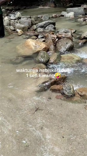 #fyp #boxer #komik #hello