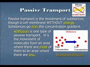 Moving Cellular Materials