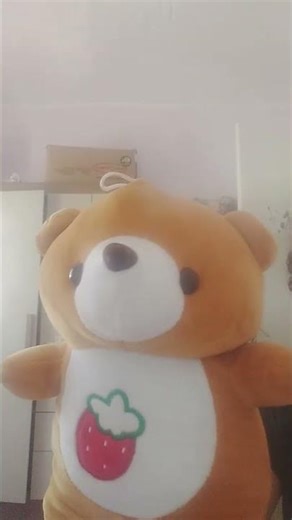 15 de março de 2026