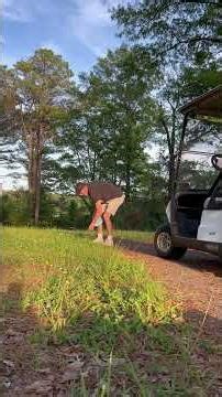 Practice Disc Golf Drives