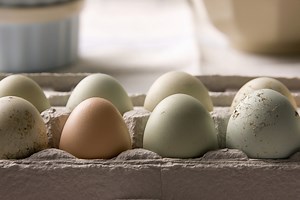 How To Tell When Your Food Is Spoiled Or Bad - Daily Meal