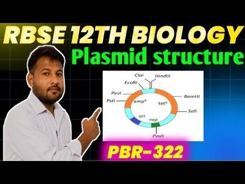 Class 12th biology chapter 9th ll biotechnology pbr 322 Plasmid ll cloning vector