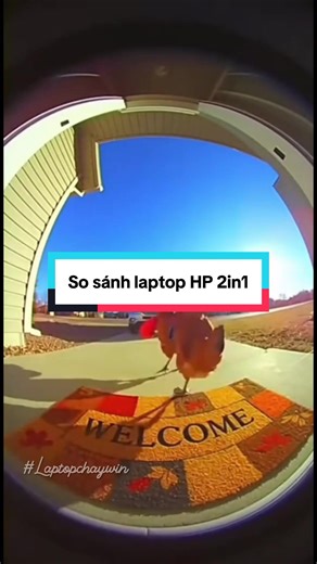 So sánh laptop HP 2in1 #thanhcongnghe #laptopsinhvien #laptopchaywin