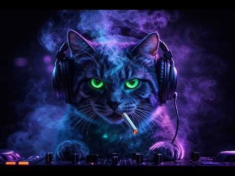 Neon Cat Smoke Bass 🐱 Relax Night Mix (1 Hour) | Deep House Chill