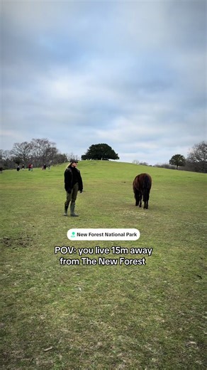 Exploring one of England’s most beautiful national parks 🇬🇧 🌳 i#hampshire