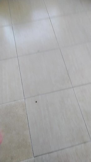 se esse vídeo dar certo vou ficar bolado