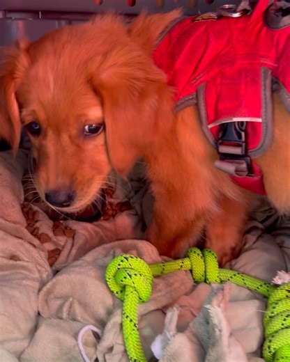 Aspen Snowmass on Reels