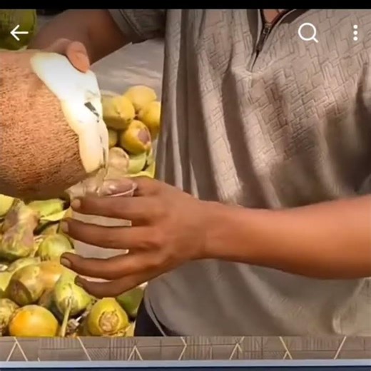 Where is there less water and where is there more water in the coconut