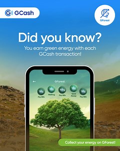 725 reactions · 21 shares | Don’t let your energy go to waste, since you can use these to plant a tree on GForest! Every transaction is a real contribution, so collect your green energy daily!  Tap into GForest to collect and plant a tree!  #KayaMo #iGCashMo | GCash | Facebook