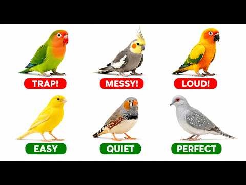5 Pet Birds That Look Easy But AREN'T (And 3 That Actually Are)