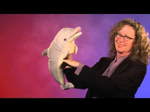Folkmanis® Dolphin Puppet Demo - Retired