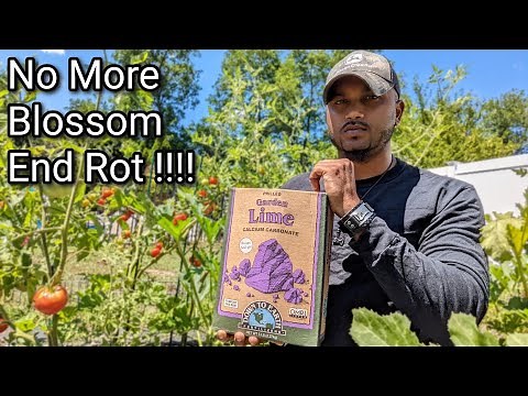 Garden Lime : How and why to use garden lime in your veggie garden ! #gardening #garden