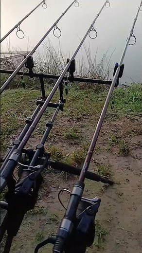 Style Carbone Rod Pod / Bite Keeper Pro / Orient Power LTD / Okuma 8K