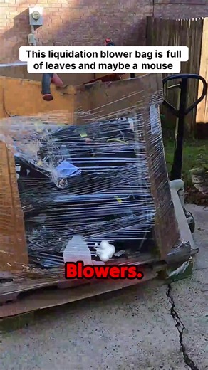 Discover the efficiency and power of our top-of-the-line blowers, designed to make your outdoor maintenance tasks easier and more effective. Whether you're clearing leaves, debris, or simply tidying up your garden, our blowers provide the performance you need with ease and precision. Engineered for durability and reliability, these tools are an essential addition to any homeowner's toolkit. Experience the difference with our high-quality blowers and transform your outdoor space effortlessly. At 