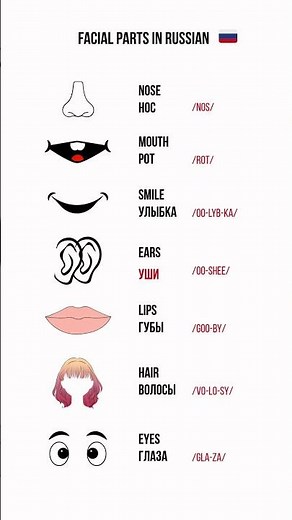 Facial Parts in Russian | Learn Vocabulary with Pronunciation