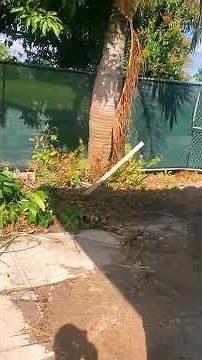 Massive Home Transformation! Master Builder’s Key Tips on This 1-to-2 Story Remodel