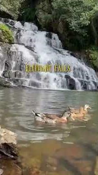 Complete Meghalaya Travel Guide | Budget, Itinerary, Waterfalls & Hidden Spots