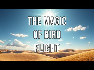 The Magic of Bird Flight