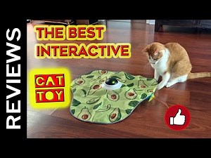 The Best Interactive Cat Toy Ever !!!