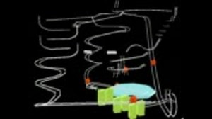 【第7回MMD杯本選】ボールコースター